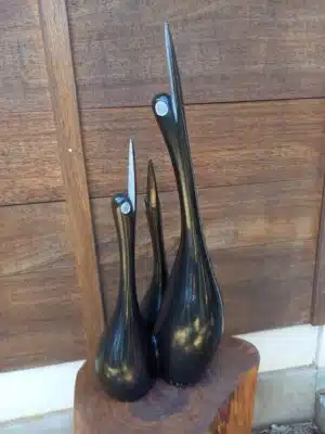 OISEAUX