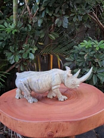 RHINOCEROS