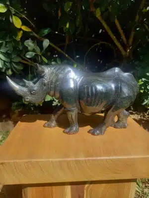 RHINOCEROS