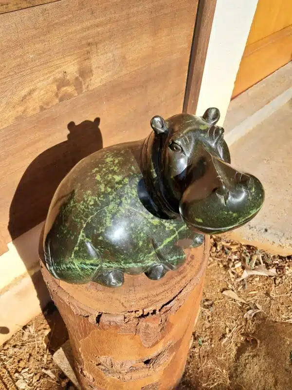HIPPO